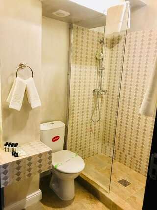 Гостевой дом Vila 18 Hotel Boutique Бухарест Двухместный номер Делюкс с 1 кроватью-28